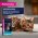 Eukanuba Mature Chicken / Паучи (Влажный корм) Эукануба для Пожилых кошек старше 7 лет с Курицей (цена за упаковку)