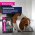 Eukanuba Dog Pouch Adult Beef / Влажный корм (Паучи) Эукануба для взрослых собак с Говядиной в соусе (цена за упаковку)