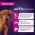 Eukanuba Puppy Large Breed / Сухой корм Эукануба для Щенков Крупных пород с Курицей