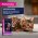 Eukanuba Kitten Chicken / Паучи (Влажный корм) Эукануба для Котят в возрасте до 1 года с Курицей (цена за упаковку)