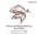 Grandorf Holistic & Hypoallergenic Medium Maxi White Fish / Сухой корм Грандорф Низкозерновой для взрослых собак Средних и Крупных пород Белая рыба