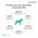 Grandorf Holistic & Hypoallergenic Junior Medium Maxi Lamb & Turkey / Сухой корм Грандорф Низкозерновой для Юниоров Средних и Крупных пород Ягненок Индейка