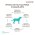 Grandorf Holistic & Hypoallergenic Large Lamb & Turkey / Сухой корм Грандорф Низкозерновой для взрослых собак Крупных пород Ягненок Индейка