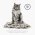FURminator Medium/Large Cat Long Hair / Фурминатор для кошек Средних и Крупных пород с Длинной шерстью