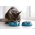 PURINA ONE HOUSECAT / Сухой корм Пурина УАН для взрослых кошек при домашнем образе жизни с индейкой