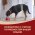 PURINA ONE PUPPY / Сухой корм Пурина УАН для щенков средних и крупных пород с курицей