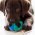 Petstages Mini Cutie Chewies Hedgehog Blu Orka / Игрушка Петстейджес для собак Ёжик