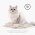 FURminator Small Cat Long Hair / Фурминатор для Мелких кошек с Длинной шерстью