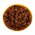 Monge Dog BWild Grainfree Adult Turkey / Консервы Беззерновые Монж для взрослых собак Индейка тыква цукини (цена за упаковку)