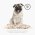 FURminator S Small Dog Short Hair / Фурминатор для собак Мелких пород с Короткой шерстью