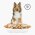 FURminator S Small Dog Long Hair / Фурминатор для собак Мелких пород с Длинной шерстью
