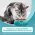 PURINA ONE STERILISED / Влажный корм Паучи Пурина УАН для взрослых стерилизованных кошек с говядиной (цена за упаковку)