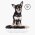 FURminator XS Extra Small Dog Short Hair / Фурминатор для собак Миниатюрных пород с Короткой шерстью