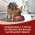 PURINA ONE ADULT / Сухой корм Пурина УАН для взрослых собак мелких пород с говядиной