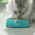 PURINA ONE STERILISED / Сухой корм Пурина УАН для взрослых стерилизованных кошек с лососем