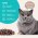 Cats Choice / Растительный комкующийся наполнитель Тофу Кэт Чойс для кошачьего туалета с ароматом Кофе