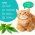 Cats Choice / Растительный комкующийся наполнитель Тофу Кэт Чойс для кошачьего туалета с ароматом Зеленый чай