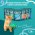 Cats Choice / Растительный комкующийся наполнитель Тофу Кэт Чойс для кошачьего туалета с ароматом Зеленый чай
