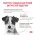 Royal Canin Gastrointerstinal Low Fat Small Dog / Ветеринарный сухой корм Роял Канин Гастро Интестинал Лоу Фэт Смол Дог для собак Мелких пород при нарушении Пищеварения Низкокалорийный