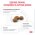 Royal Canin Gastrointerstinal Low Fat Small Dog / Ветеринарный сухой корм Роял Канин Гастро Интестинал Лоу Фэт Смол Дог для собак Мелких пород при нарушении Пищеварения Низкокалорийный