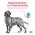 Royal Canin Hypoallergenic DR21 / Ветеринарный сухой корм Роял Канин Гипоаллергенный для собак с Пищевой аллергей и непереносимостью