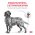 Royal Canin Gastrointestinal GI25 / Ветеринарный сухой корм Роял Канин Гастро Интестинал для взрослых собак при нарушении Пищеварения