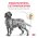 Royal Canin Urinary S/O LP18 / Ветеринарный сухой корм Роял Канин Уринари для собак Мочекаменная болезнь (струвиты, оксалаты)