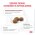 Royal Canin Gastrointestinal Low Fat LF22 / Ветеринарный сухой корм Роял Канин Гастро Интестинал Лоу Фэт для собак при нарушении Пищеварения Низкокалорийный