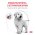 Royal Canin Gastrointestinal Puppy / Ветеринарный сухой корм Роял Канин Гастро Интестинал для Щенков при нарушении Пищеварения