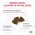 Royal Canin Kitten Gastrointestinal / Ветеринарный сухой корм Роял Канин Гастро Интестинал для Котят от 2 до 10 месяцев при Нарушениях пищеварения