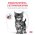Royal Canin Kitten Gastrointestinal / Ветеринарный сухой корм Роял Канин Гастро Интестинал для Котят от 2 до 10 месяцев при Нарушениях пищеварения