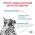 Royal Canin Skin & Coat Feline / Ветеринарный сухой корм Роял Канин для Стерилизованных кошек с повышенной Чувствительностью кожи