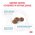 Royal Canin Skin & Coat Feline / Ветеринарный сухой корм Роял Канин для Стерилизованных кошек с повышенной Чувствительностью кожи