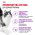 Royal Canin Sensible / Сухой корм Роял Канин Сенсибл для кошек с Чувствительным пищеварением