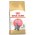 Royal Canin Breed cat Kitten British Shorthair / Сухой корм Роял Канин для Котят породы Британская короткошерстная в возрасте от 4 до 12 месяцев