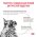 Royal Canin Gastrointestinal Hairball / Ветеринарный сухой корм Роял Канин Гастро Интестинал Хэйрбол для кошек Нарушения пищеварения Вывод волосяных комочков