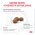 Royal Canin Gastrointestinal Hairball / Ветеринарный сухой корм Роял Канин Гастро Интестинал Хэйрбол для кошек Нарушения пищеварения Вывод волосяных комочков