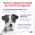 Royal Canin Neutered Adult Small Dog / Сухой корм Роял Канин для Кастрированных или Стерилизованных собак Мелких пород