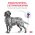 Royal Canin Neutered Adult Medium Dogs / Сухой корм Роял Канин для Кастрированных или Стерилизованных взрослых собак Средних пород