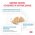 Royal Canin Hypoallergenic DR25 / Ветеринарный сухой корм Роял Канин Гипоаллергенный для кошек Пищевая аллергия и непереносимость