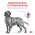 Royal Canin Renal RF14 / Ветеринарный сухой корм Роял Канин Ренал для собак Заболевание почек (хроническая почечная недостаточность)