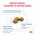 Royal Canin Hypoallergenic Small Dog HSD24 / Ветеринарный сухой корм Роял Канин Гипоаллергенный для собак Мелких пород с Пищевой аллергией и непереносимостью