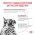 Royal Canin Gastrointestinal Moderate Calorie / Ветеринарный влажный корм (Консервы-Паучи) Роял Канин Гастро Интестинал Модерэйт Калори для кошек при расстройствах пищеварения (цена за упаковку)