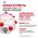 Royal Canin Indoor 7+ / Влажный корм (Консервы-Паучи) Роял Канин Индор для Стерилизованных Пожилых кошек старше 7 лет Живущих в помещении в Желе (цена за упаковку)