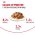 Royal Canin Appetite Control Care Sauce / Влажный корм (Консервы-Паучи) Роял Канин Аппетайт Контрол Кэа для взрослых кошек Контроль аппетита в Соусе (цена за упаковку)