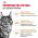 Royal Canin Breed cat Maine Coon / Влажный корм (Консервы-Паучи) Роял Канин для кошек породы Мэйн Кун