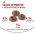Royal Canin Fit / Сухой корм Роял Канин Фит для Взрослых кошек в возрасте от 1 года до 7 лет