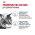 Royal Canin Hair & Skin Care / Сухой корм Роял Канин Хэйр & Скин Кэа для кошек Здоровая кожа и шерсть