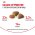 Royal Canin Exigent Savoir Sensation / Сухой корм Роял Канин Эксиджент для кошек Привередливых к вкусу