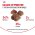 Royal Canin Mother & Babycat / Сухой корм Роял Канин Бэйбикэт для Котят в возрасте от 1 до 4 месяцев